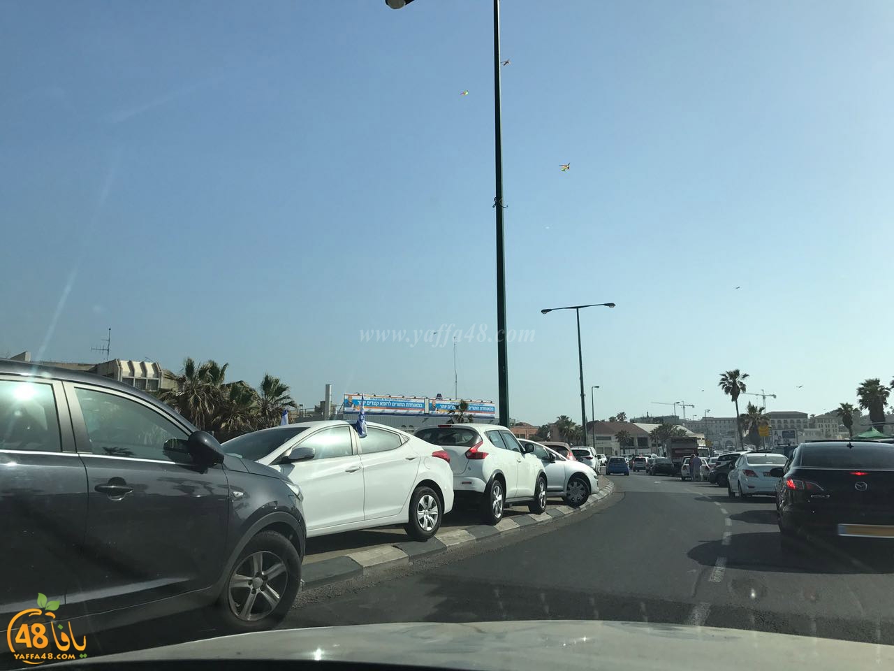 cars in yefaffa (15).jpg